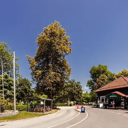 & Ljubljana